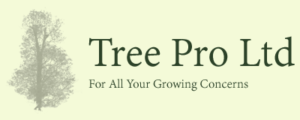 Tree Pro Ltd maidstone tree surgeon