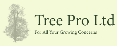Tree Pro Ltd