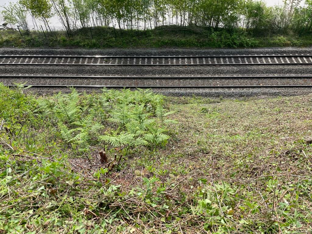 De-vegetation railway