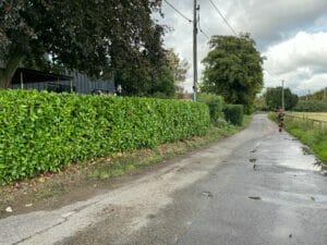 Hedge cutting Kent Country roads