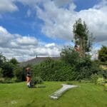 Hedgerow Maintenance Ashford