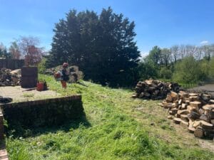 Fallen Tree Removal in Maidstone