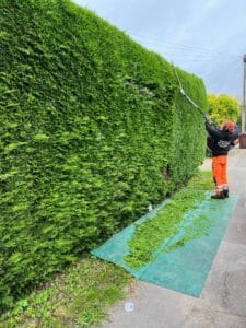 Best Hedge Cutting in Canterbury