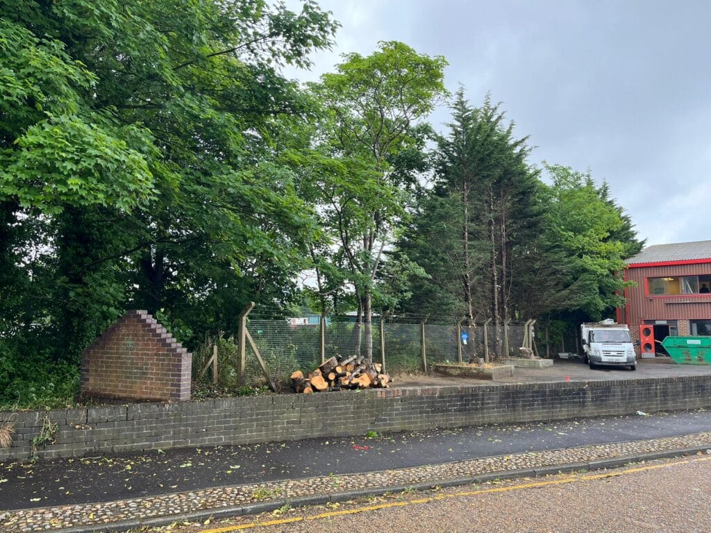 Commercial Tree Management in Maidstone