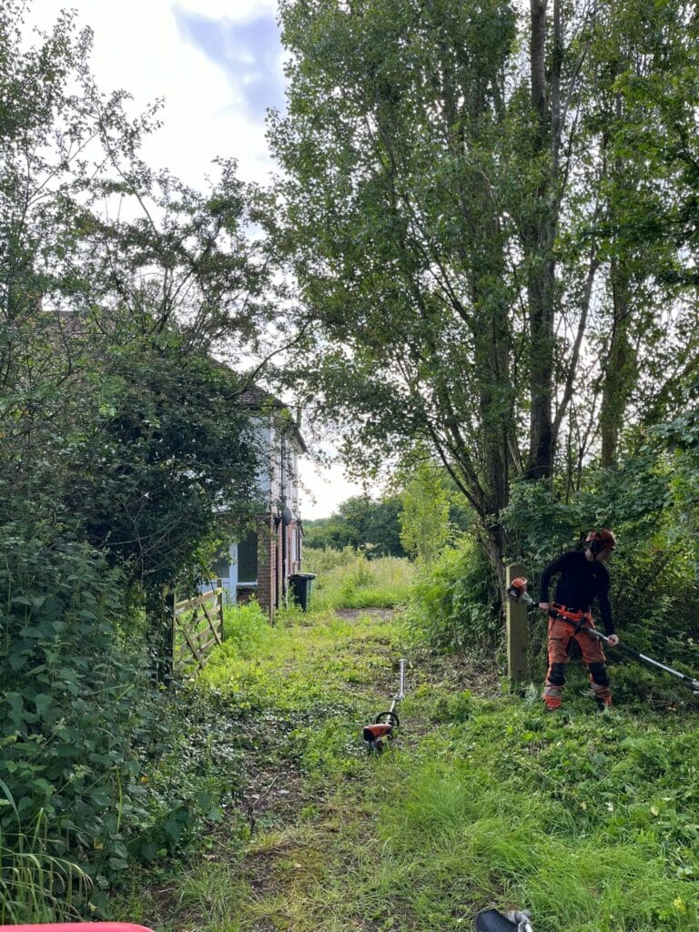 Garden clearance in Kent