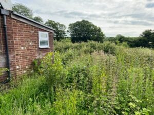 Garden Maintenance in Cranbrook.