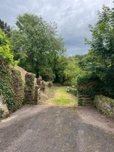 Tree Removal In Ashford