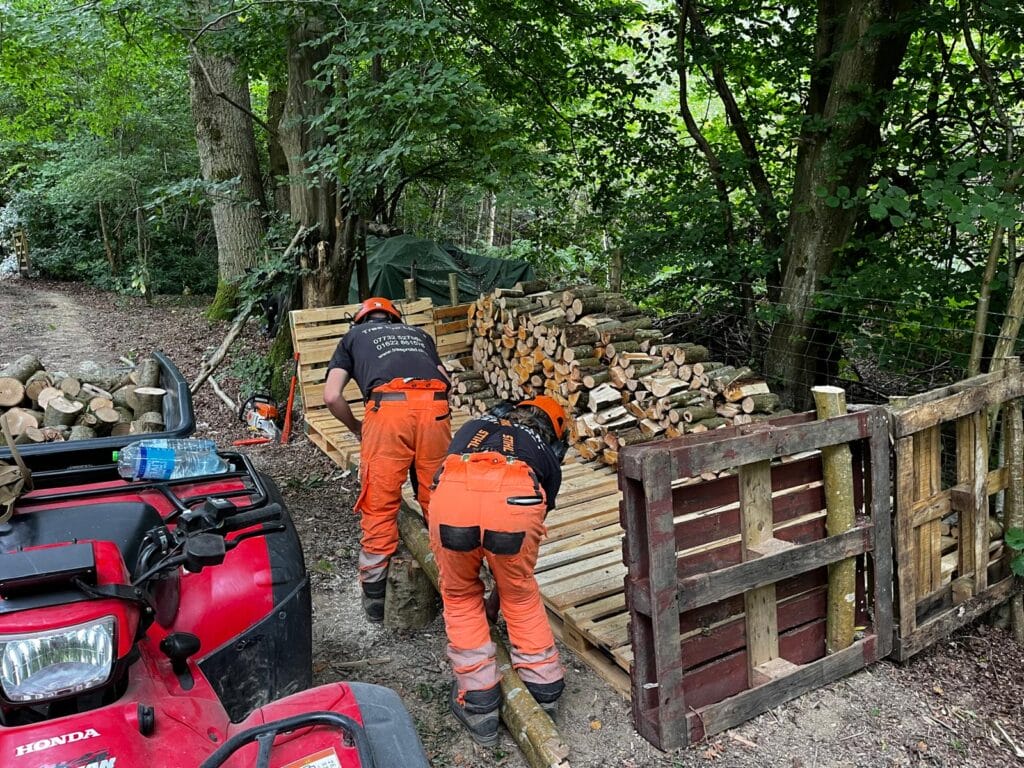 Ground Clearance in Benenden