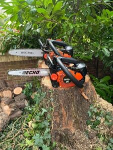 Tree Cutting Services in Ramsgate