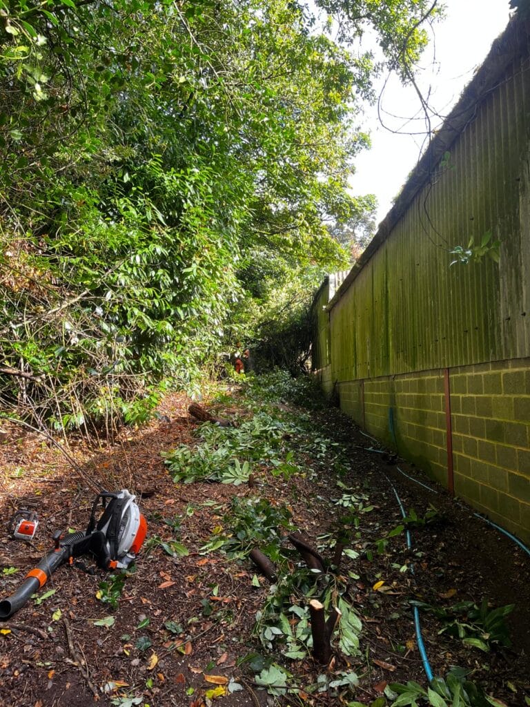 Garden Clearance in Sussex