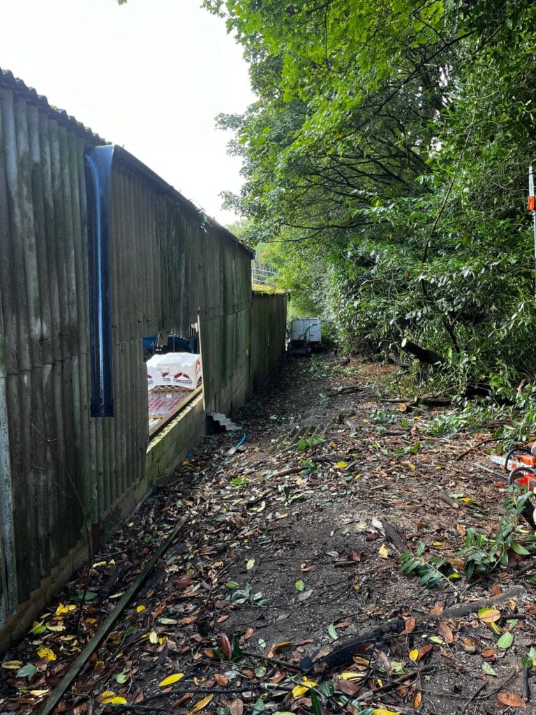 Garden Clearance by Tree Pro