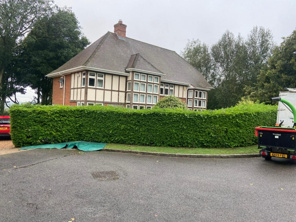 Hedge cutting service in Lenham