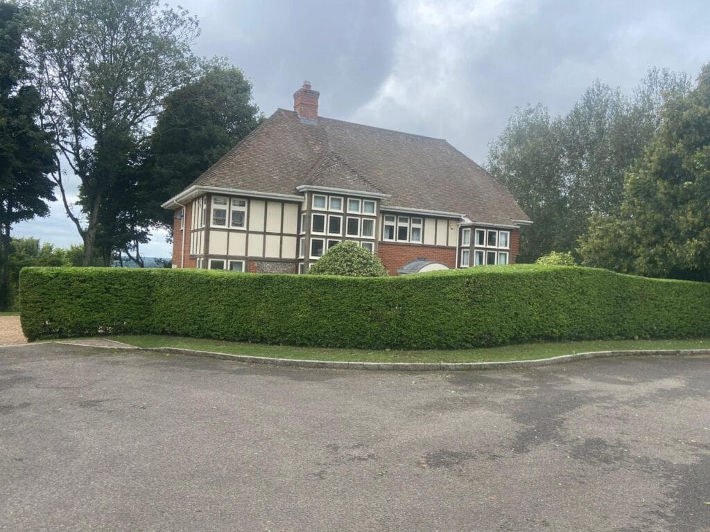 Hedge Cutting Services in Cranbrook