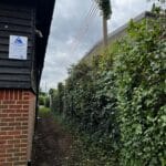 Hedge Pruning Services in Kent