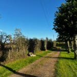 Hedge Cutting Services in Pluckley