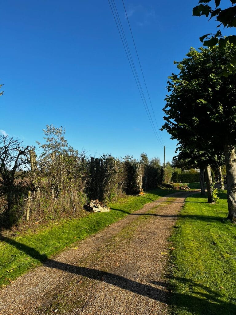 Hedge Cutting Services in Pluckley