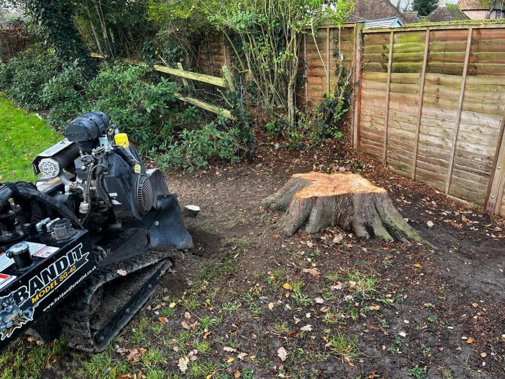 Expert Stump Grinding Solutions