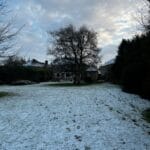 Pruning in Harrietsham