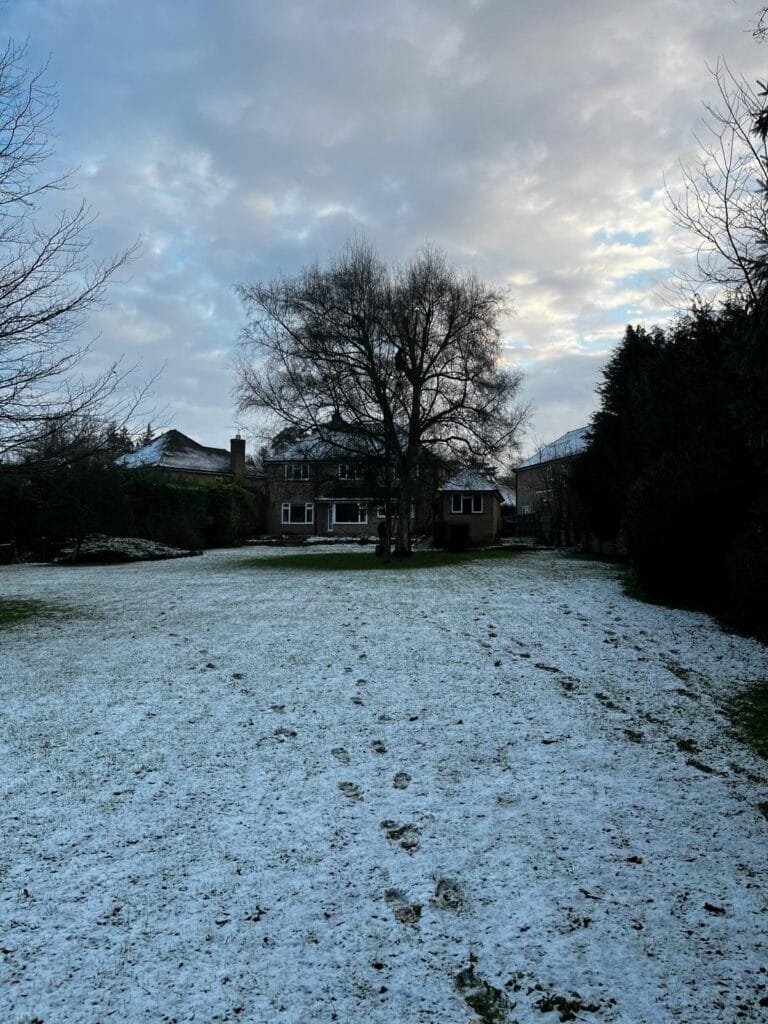 Pruning in Harrietsham