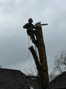 Public Liability Insurance for Homeowners