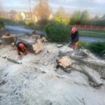 Tree stump removal in Lenham