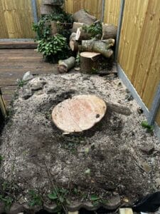 Tree cutting companies near me