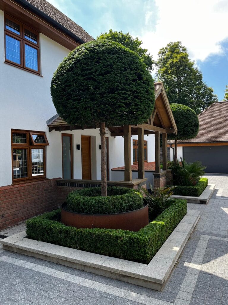 What makes Tree Pruning Important?