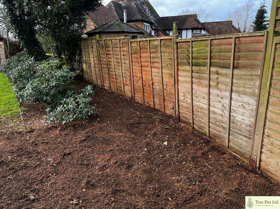 Tree Stump Grinding Service in Maidstone