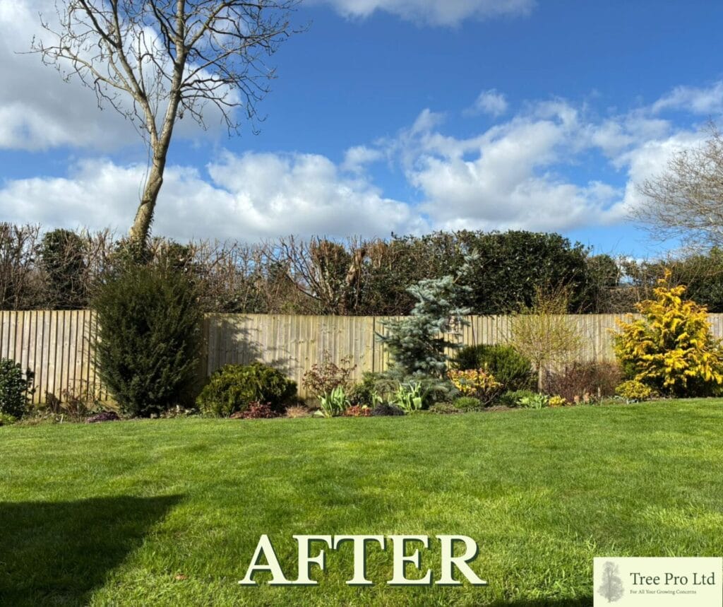 Garden maintenance in Staplehurst