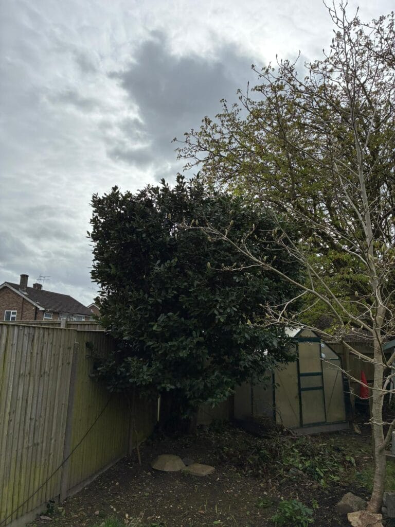 Garden Maintenance in Pluckley