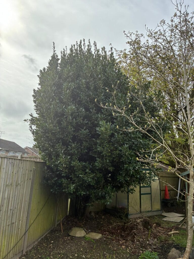 Garden Maintenance in Pluckley