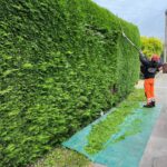 Hedge Trimming In Canterbury