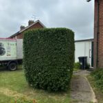 Hedge Cutting Services In Canterbury